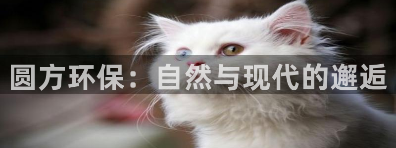 杏耀官方娱乐