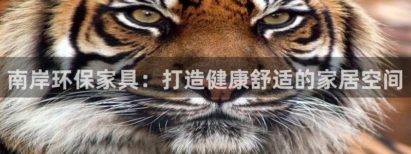 杏耀平台的专用通道