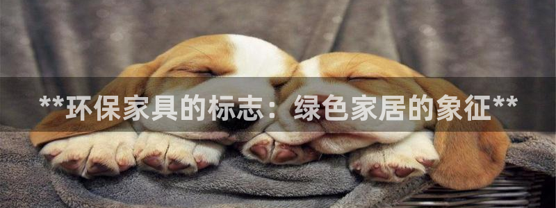 杏耀注册登录代理