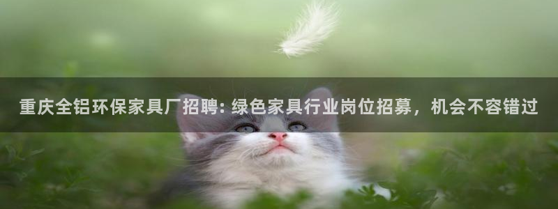 杏耀软件