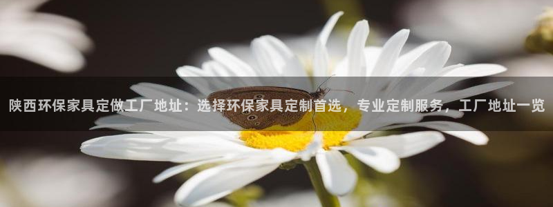 杏耀官方娱乐