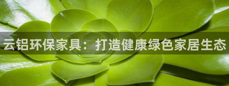 杏耀平台指定