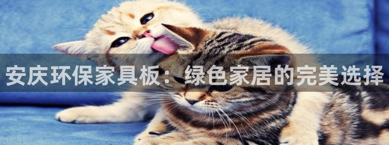 杏耀代理1980