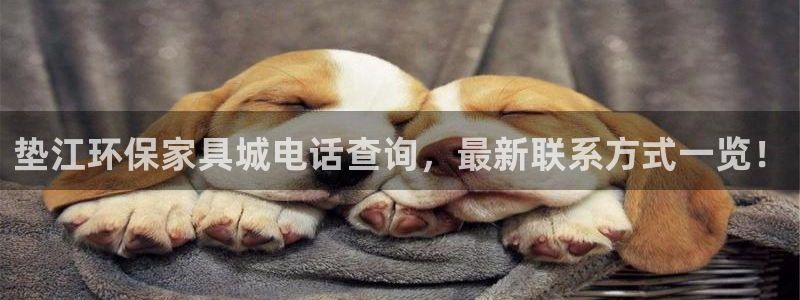 杏耀软件：垫江环保家具城电话查询，最新联系方式一览！