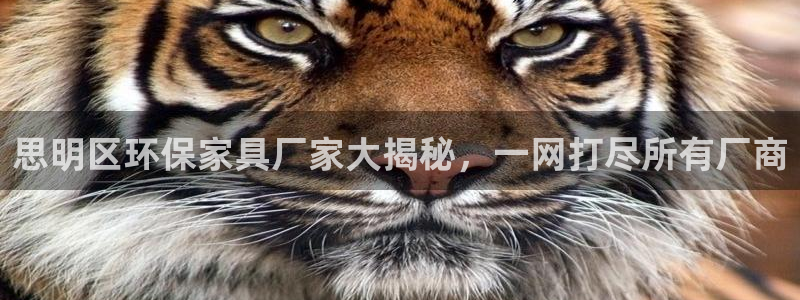 杏耀注册杏耀登陆：思明区环保家具厂家大揭秘，一网打尽所有厂商