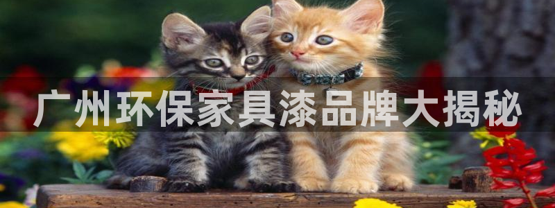 杏耀登陆线路：广州环保家具漆品牌大揭秘
