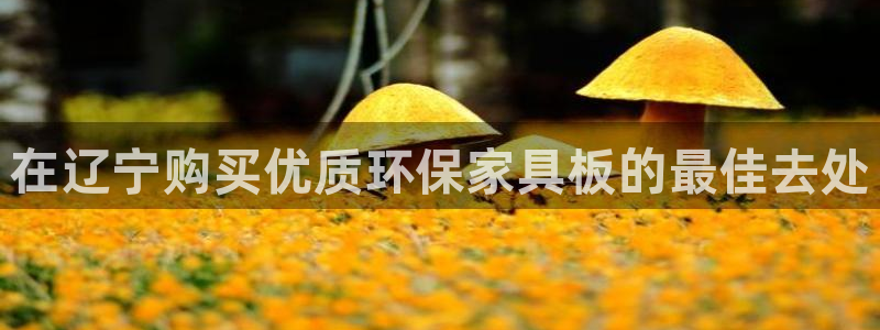 杏耀注册主管