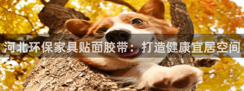 杏耀平台客户端
