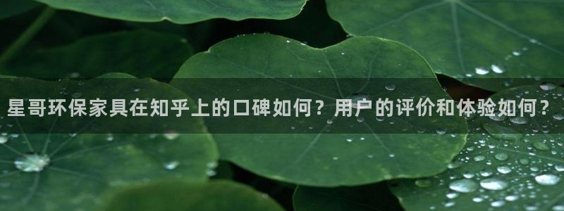 杏耀网页手机登录：星哥环保家具在知乎上的口碑如何？用户的评价