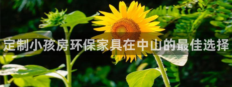 杏耀网址官网：定制小孩房环保家具在中山的最佳选择