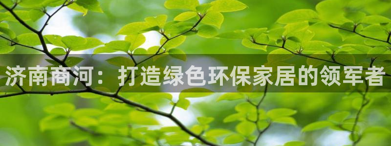 杏耀平台注册登录：济南商河：打造绿色环保家居的领军者