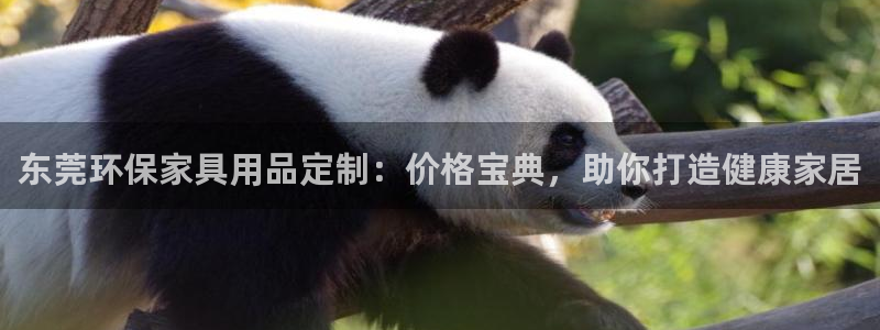 杏耀平台怎么样?：东莞环保家具用品定制：价格宝典，助你打造健